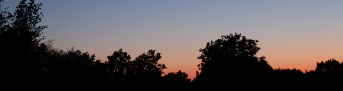 Observations At Night